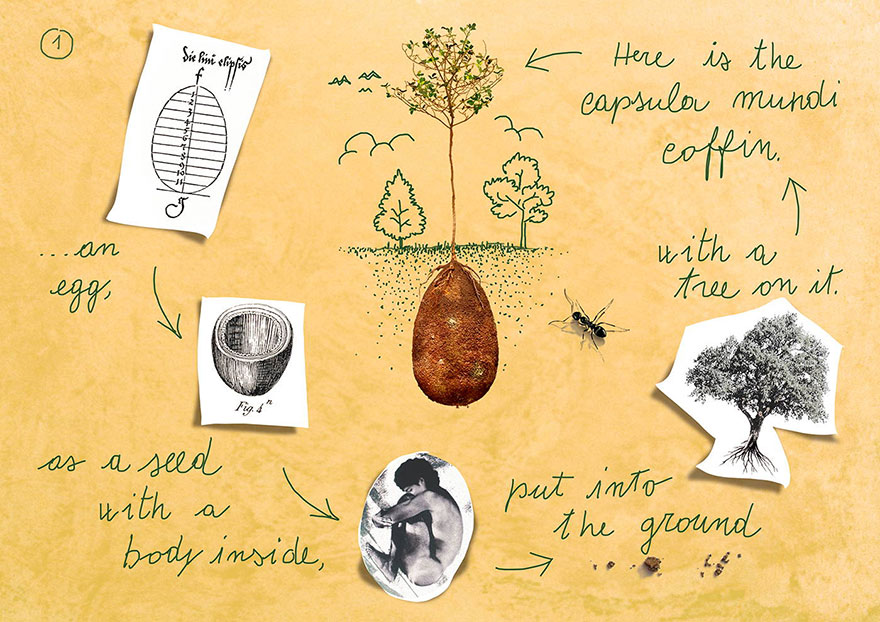 biodegradable-burial-pod-memory-forest-capsula-mundi-5